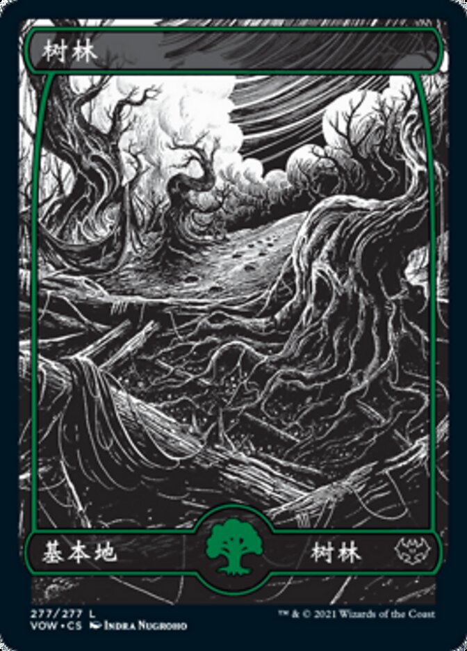 树林