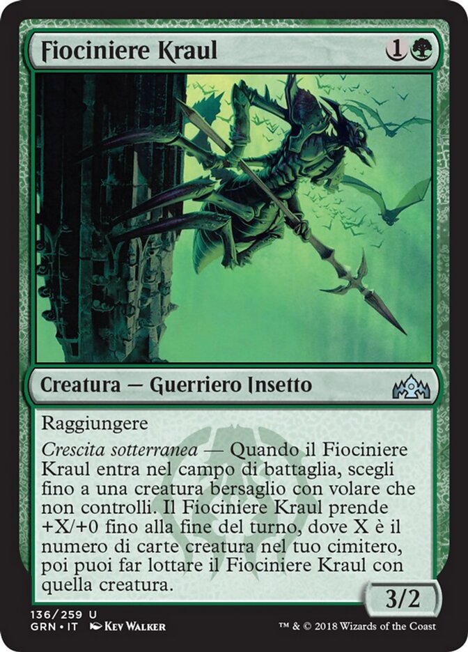 Fiociniere Kraul