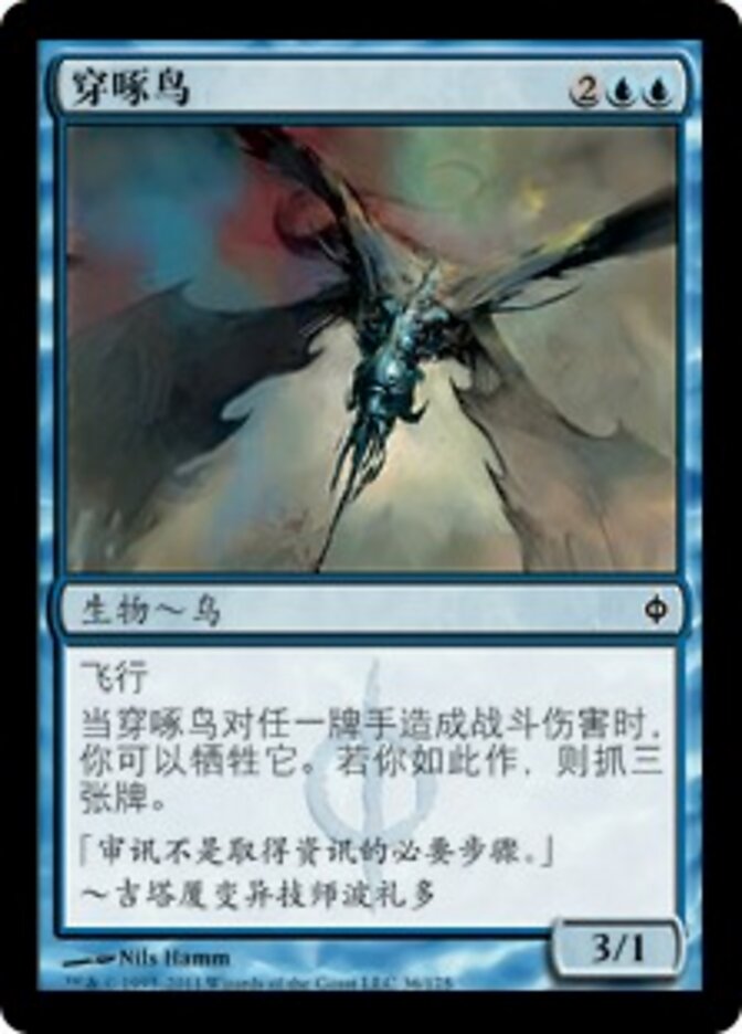 穿啄鸟