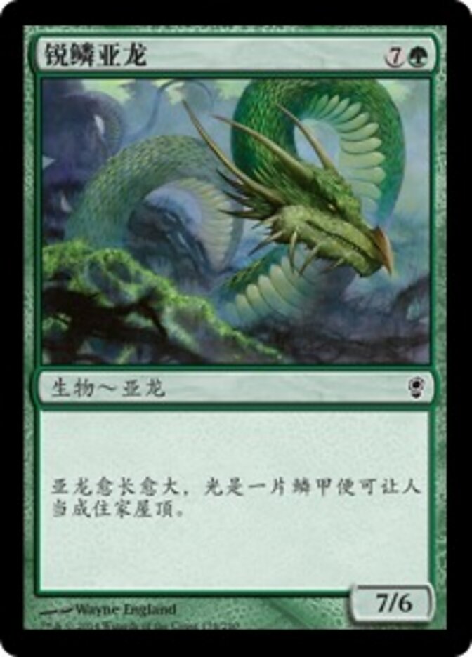 锐鳞亚龙