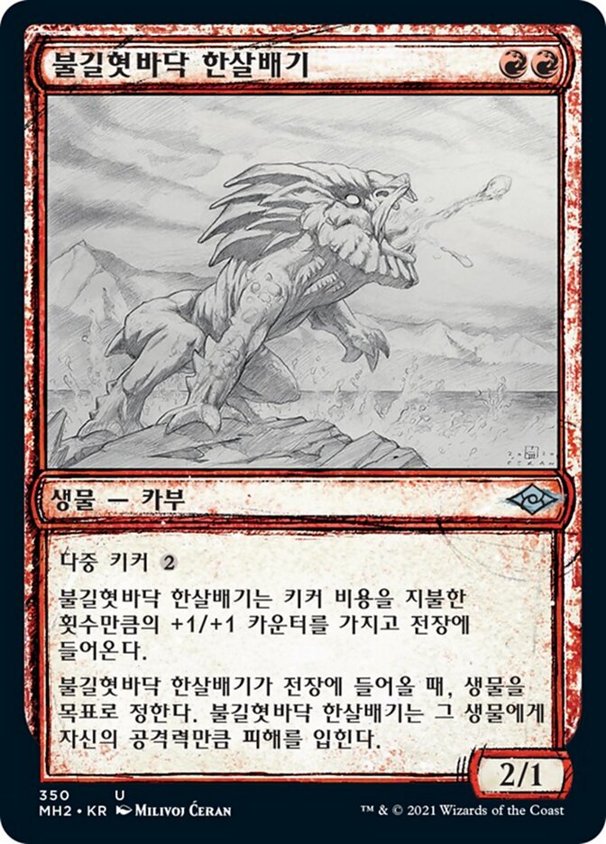 불길혓바닥 한살배기