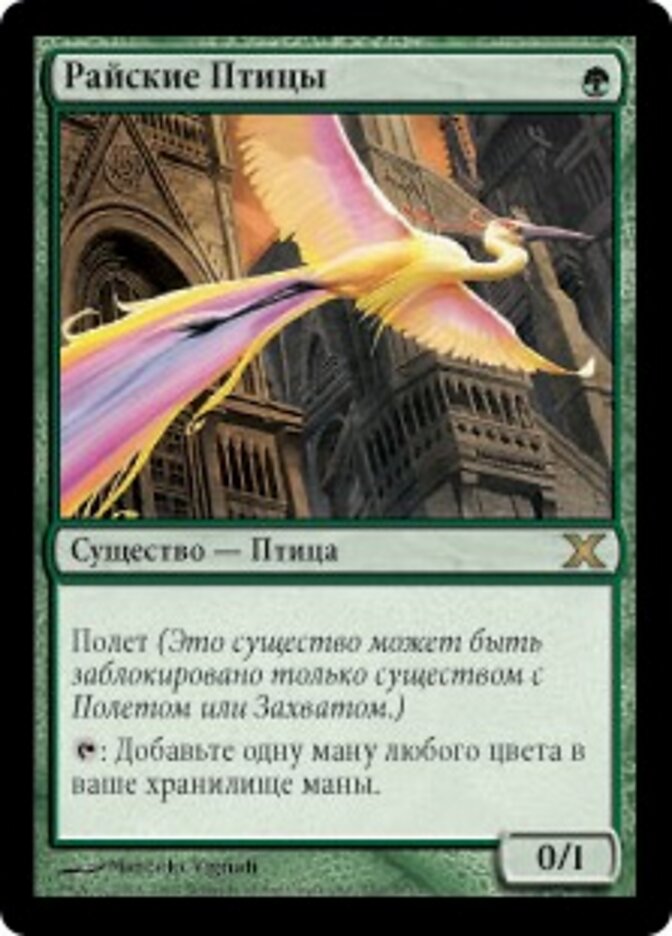 Райские Птицы
