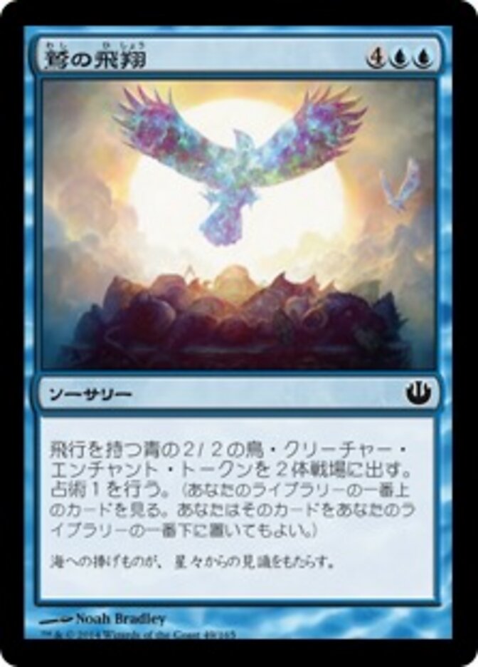 鷲の飛翔