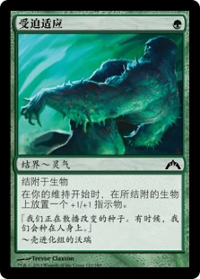 受迫适应