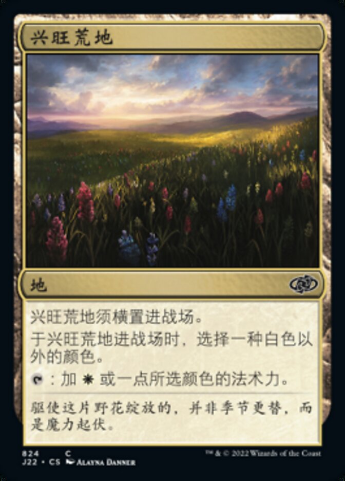 兴旺荒地
