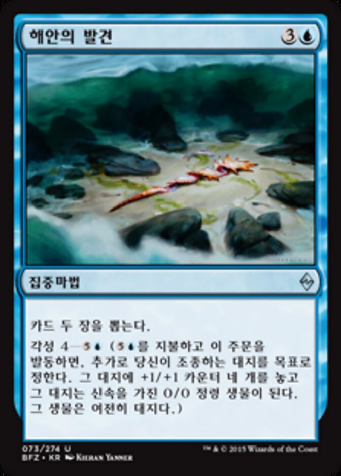 해안의 발견