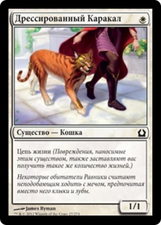 Дрессированный Каракал