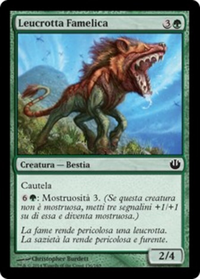 Leucrotta Famelica