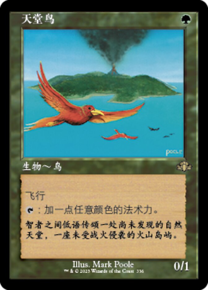 天堂鸟