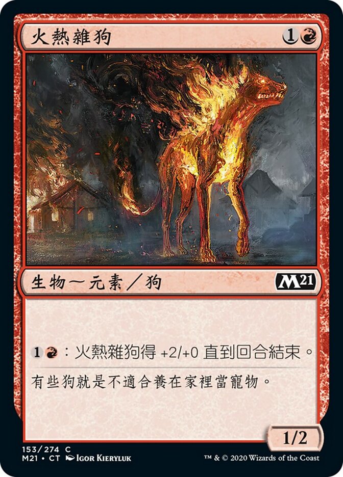 火熱雜狗