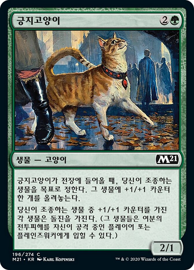 긍지고양이