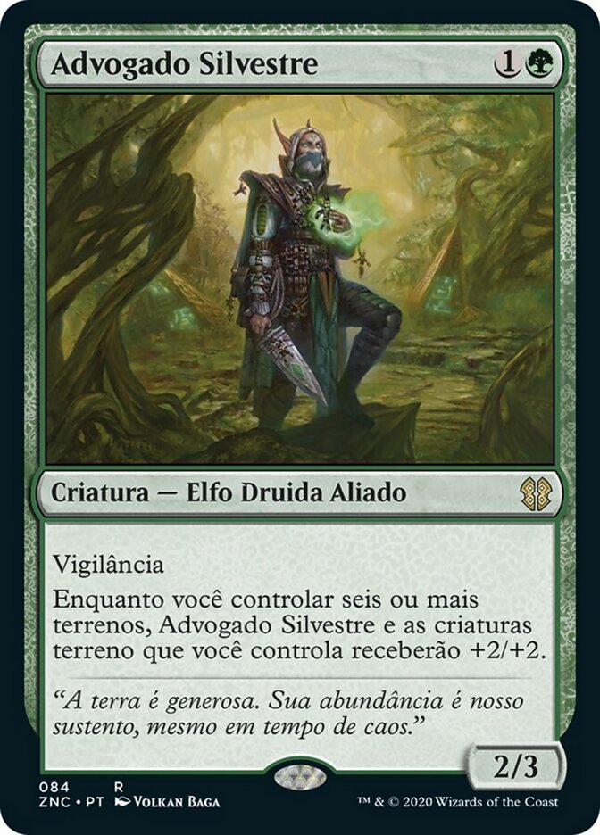 Advogado Silvestre