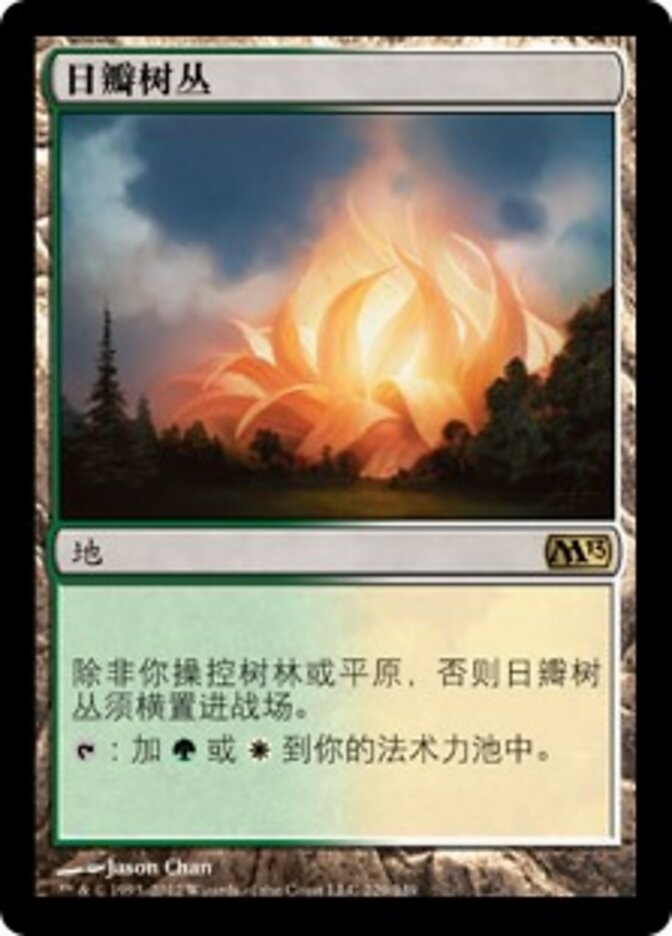 日瓣树丛