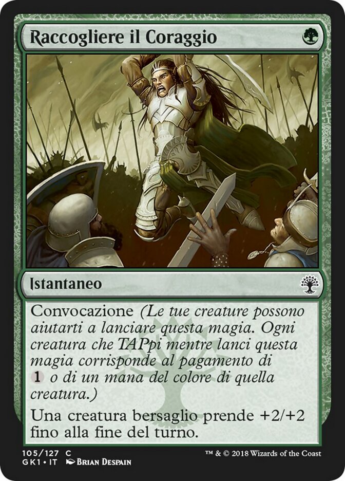 Raccogliere il Coraggio