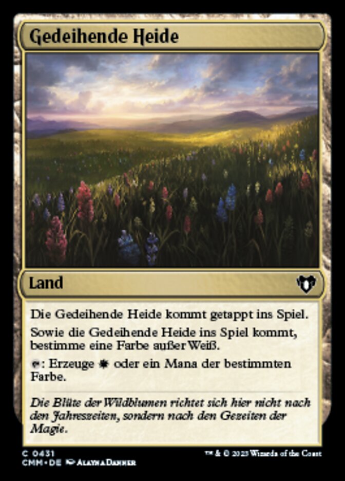 Gedeihende Heide