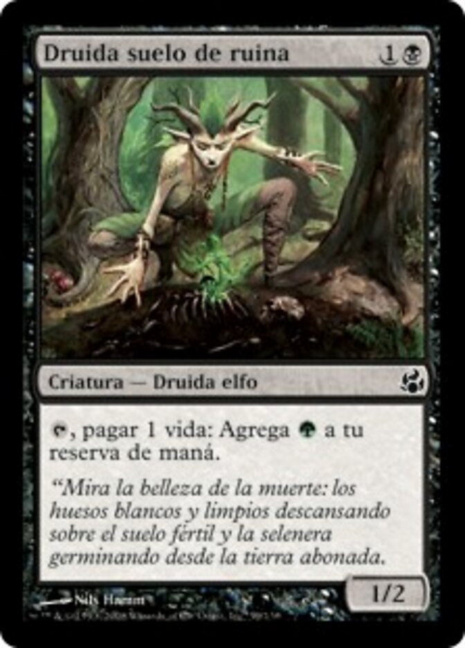 Druida suelo de ruina
