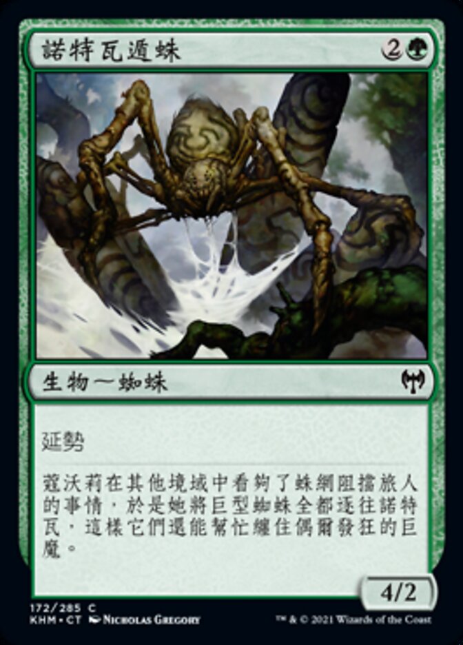 諾特瓦遁蛛