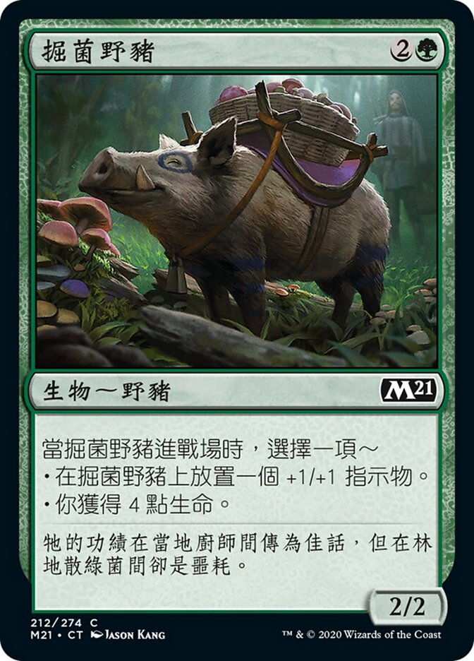 掘菌野豬