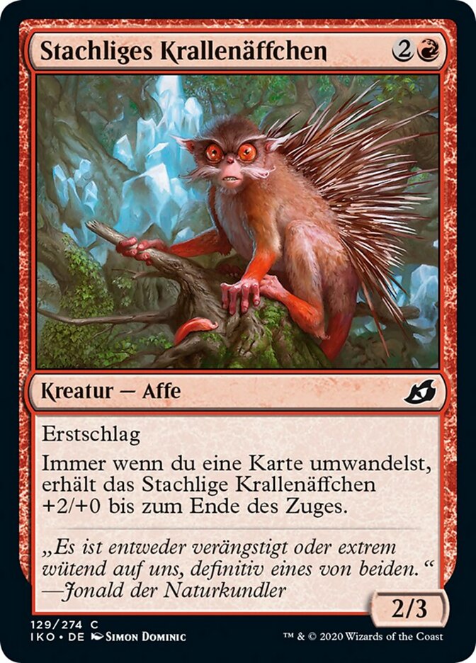 Stachliges Krallenäffchen