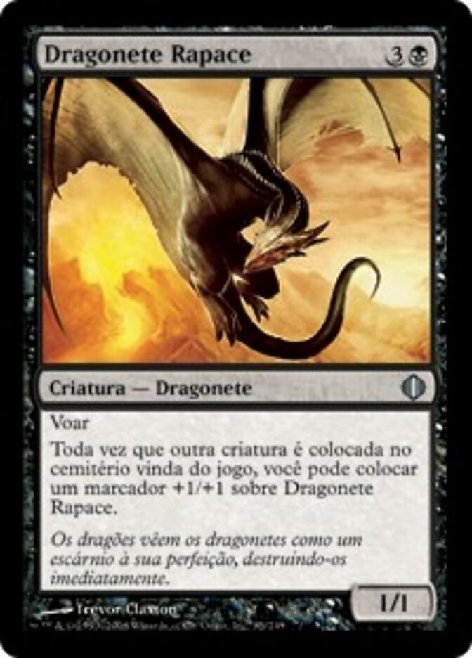 Dragonete Rapace