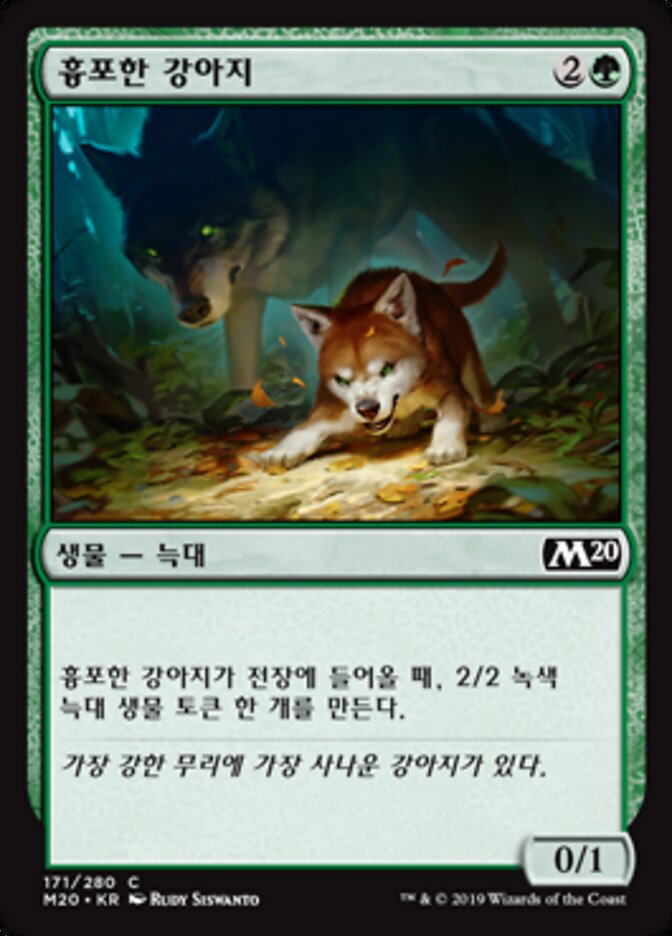 흉포한 강아지