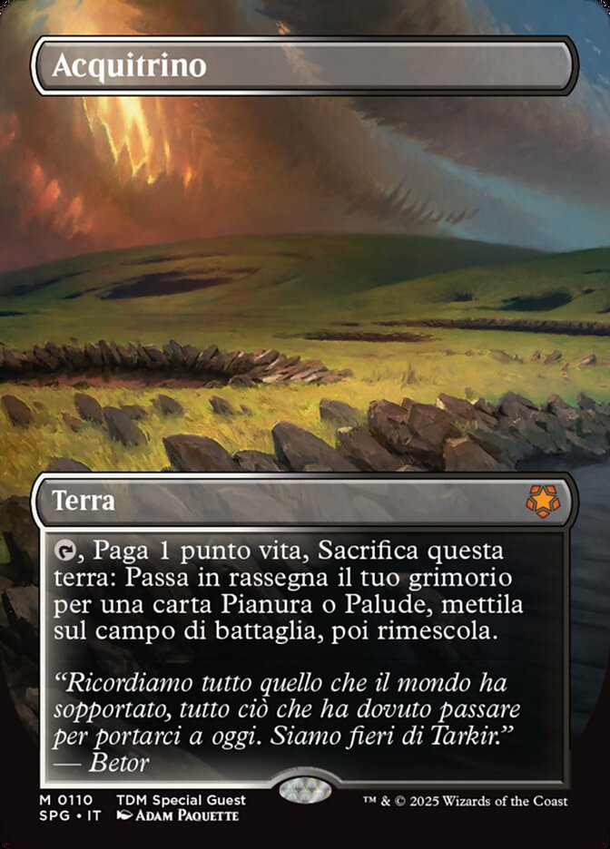 Acquitrino