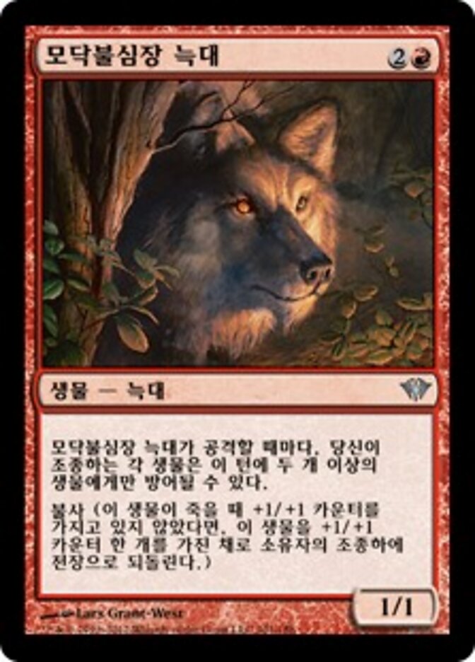 모닥불심장 늑대