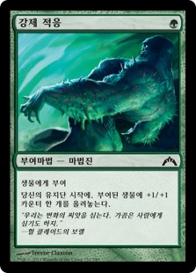 강제 적응