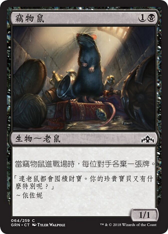 竊物鼠