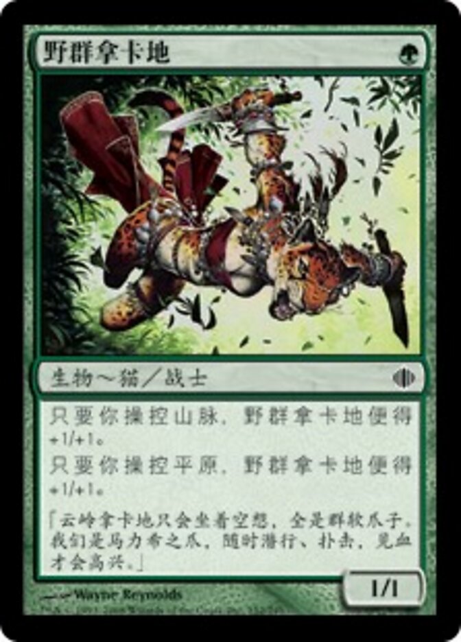 野群拿卡地