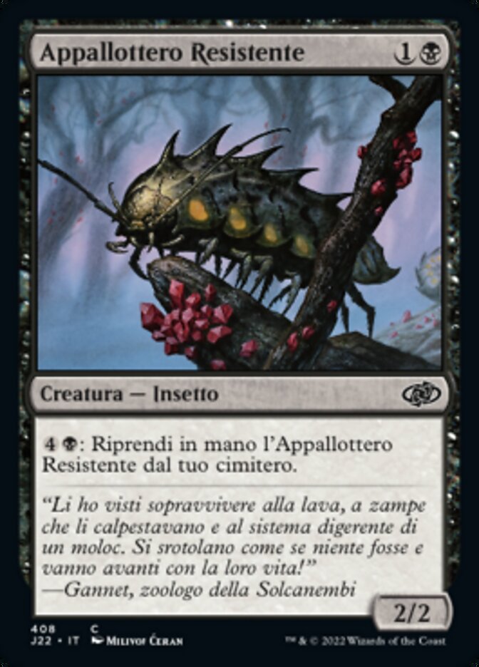 Appallottero Resistente