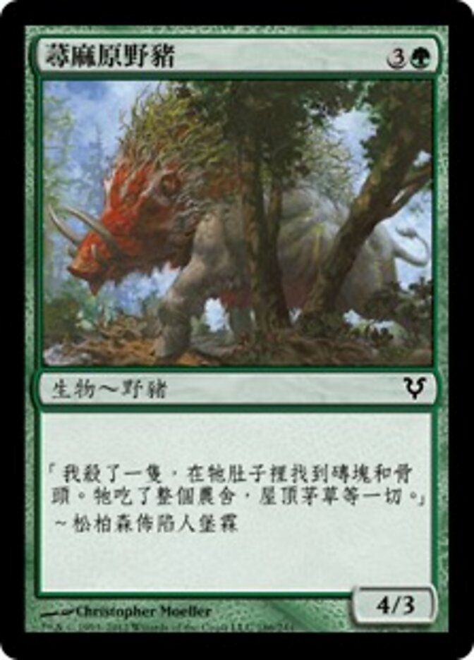蕁麻原野豬
