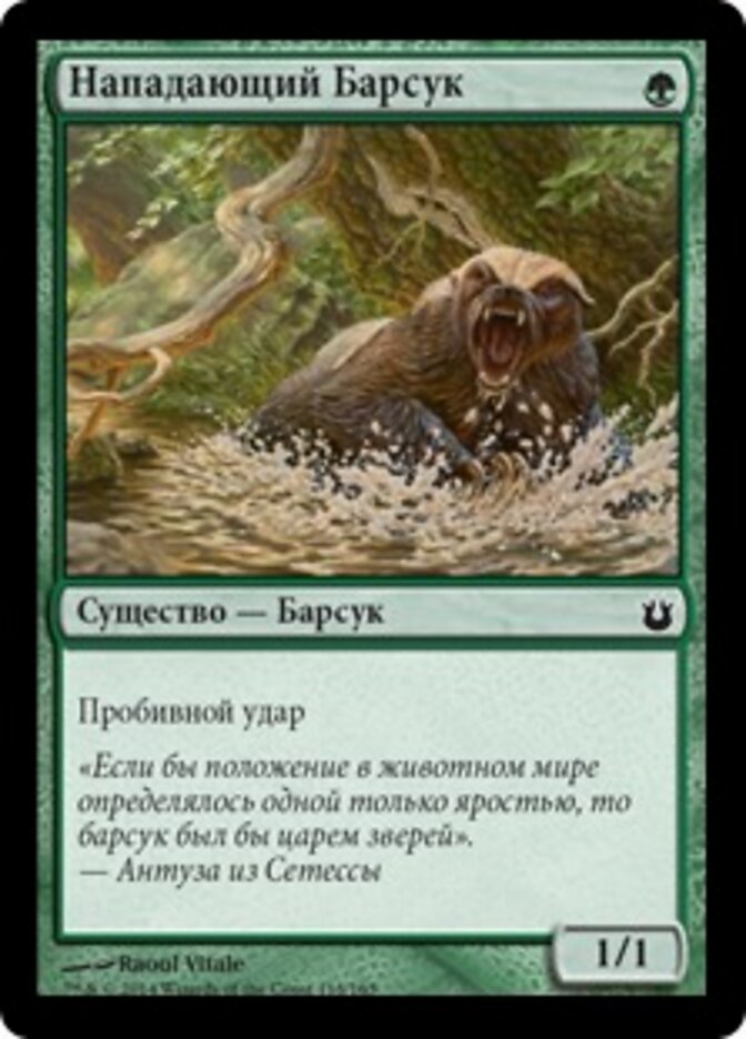 Нападающий Барсук