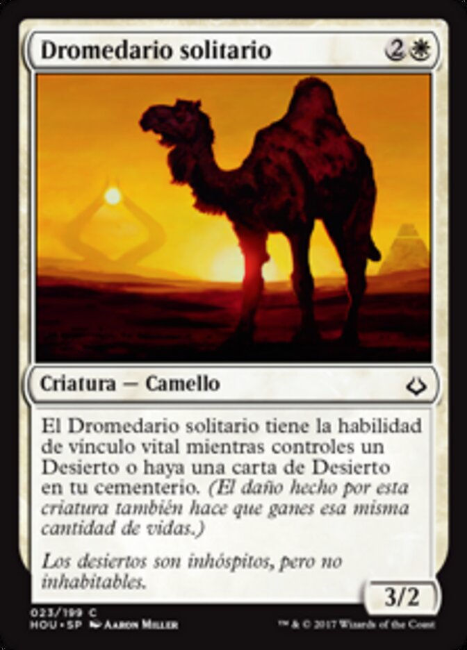 Dromedario solitario