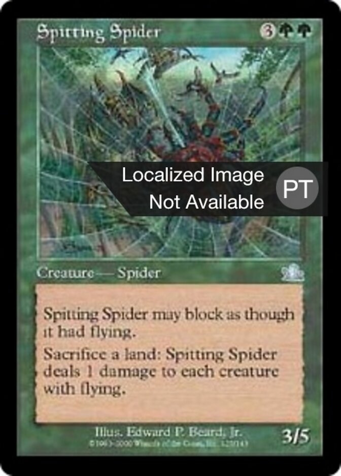 Aranha Cuspideira