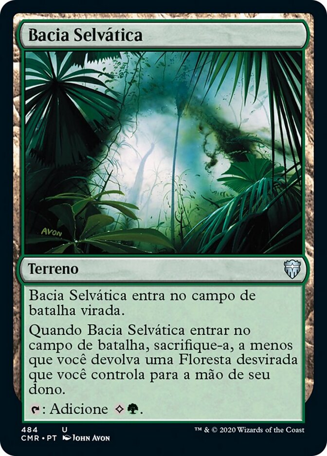 Bacia Selvática
