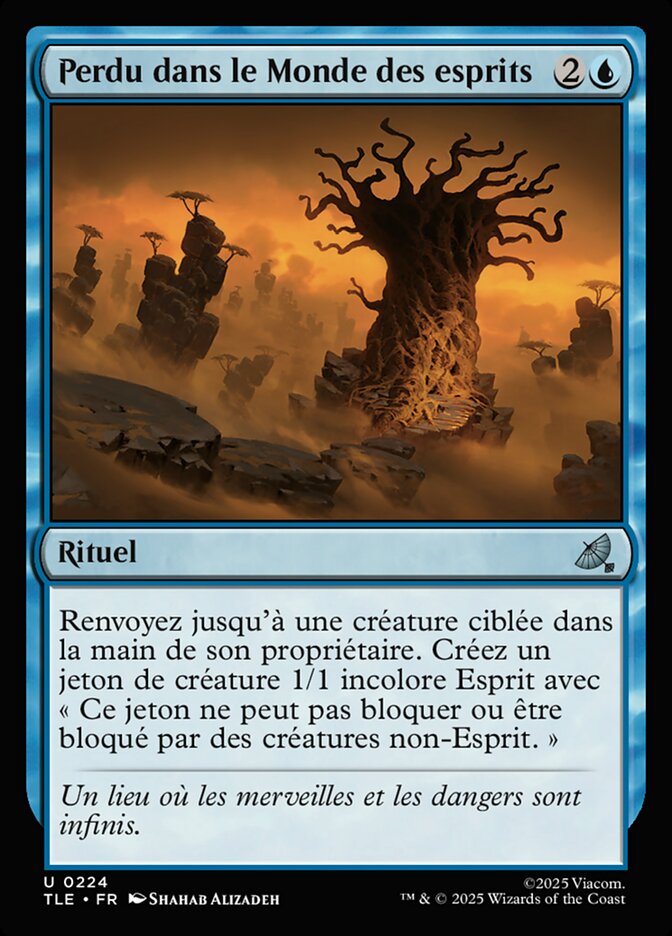 Perdu dans le Monde des esprits