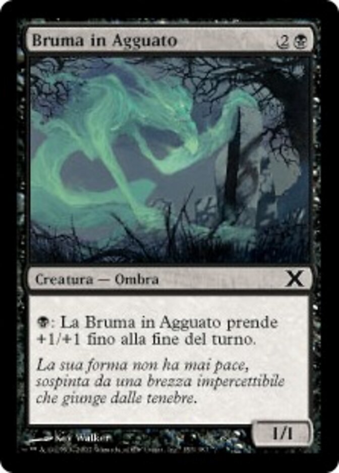 Bruma in Agguato
