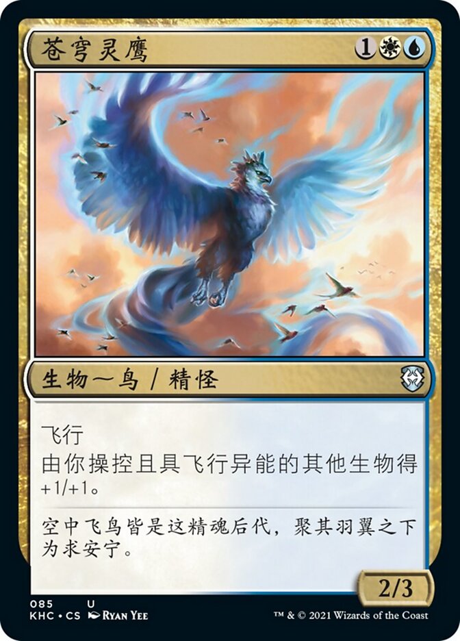 苍穹灵鹰