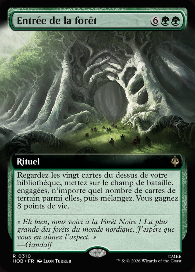 Entrée de la forêt