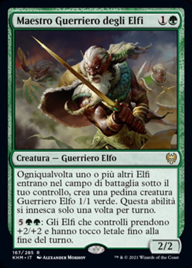 Maestro Guerriero degli Elfi