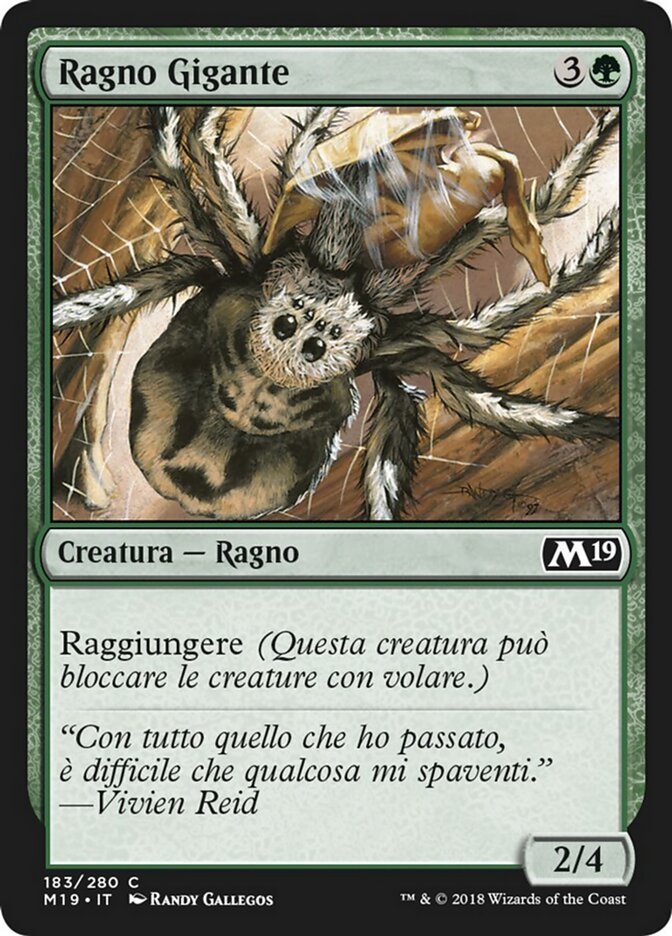 Ragno Gigante