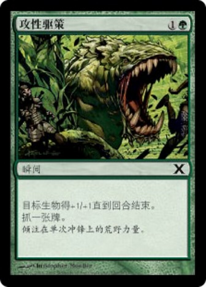 攻性驱策