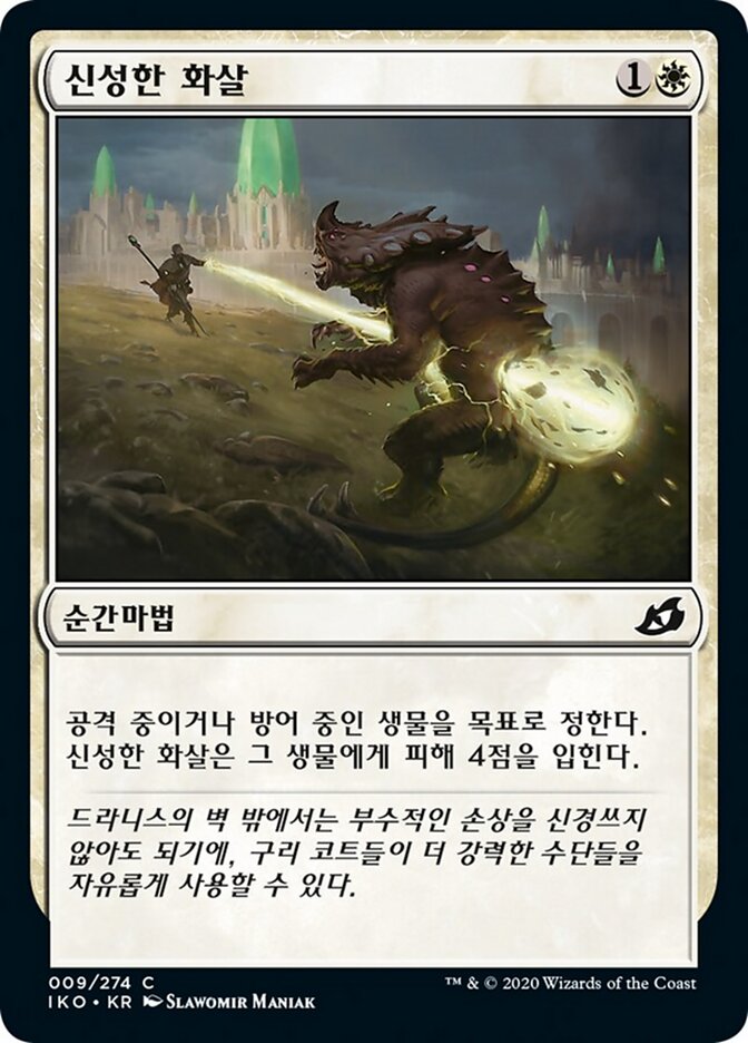 신성한 화살