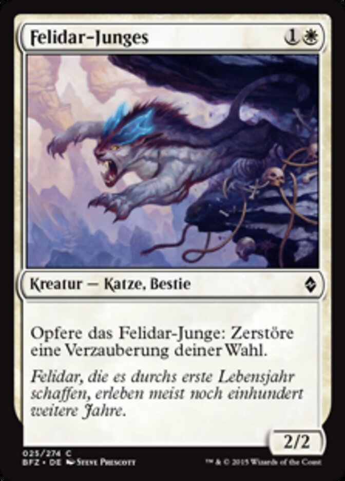 Felidar-Junges