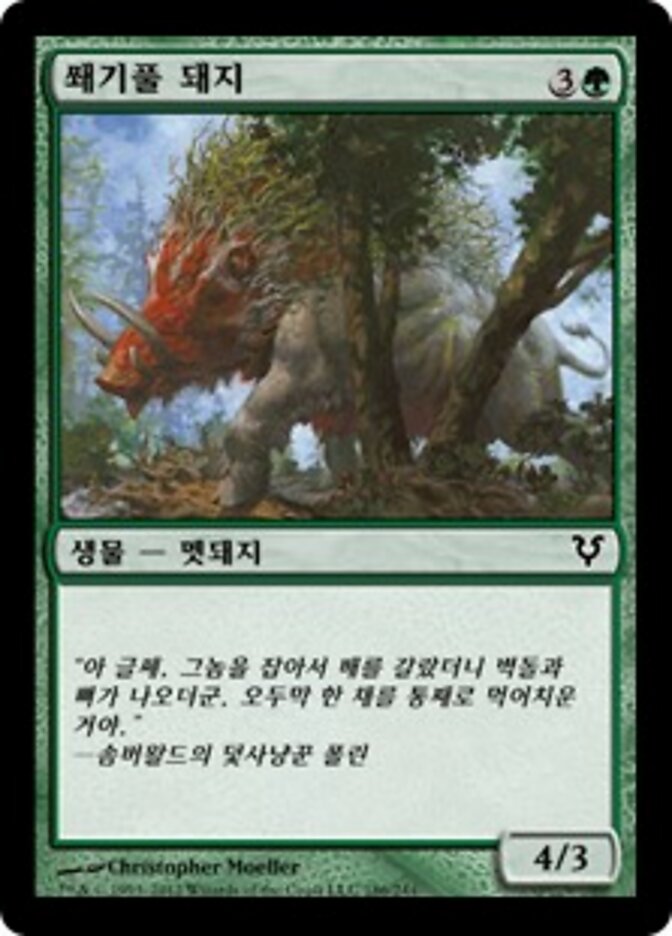 쐐기풀 돼지