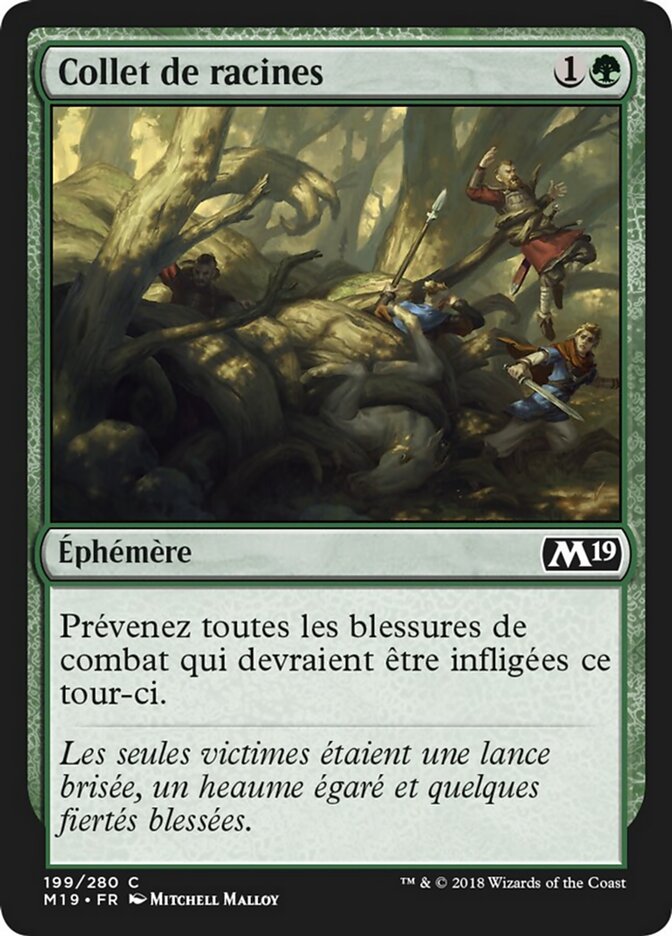 Collet de racines