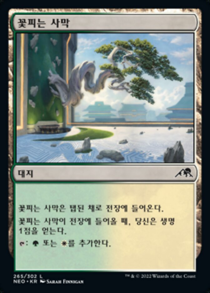 꽃피는 사막