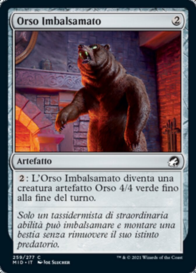 Orso Imbalsamato