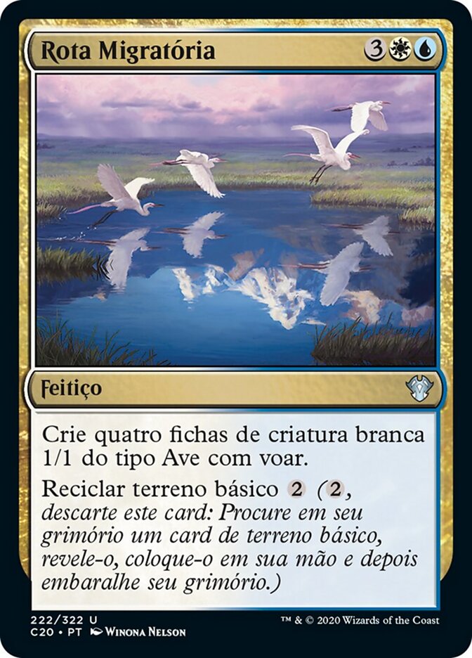 Rota Migratória